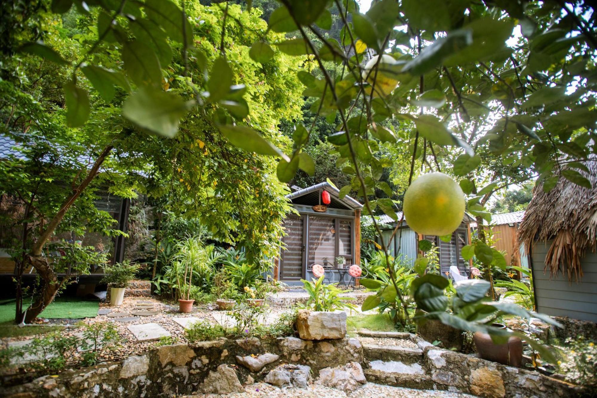 Hoang Minh Mountainside Villa 닌빈 외부 사진